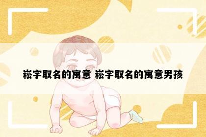 崧字取名的寓意 崧字取名的寓意男孩