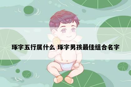 琢字五行属什么 琢字男孩最佳组合名字