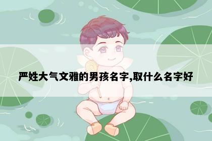 严姓大气文雅的男孩名字,取什么名字好